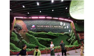 2019北京世園會，我們來啦